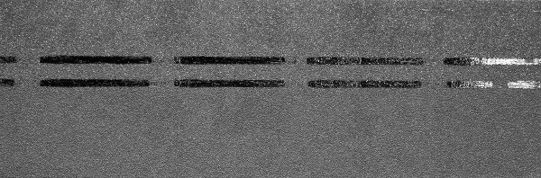 Коньково-карнизная черепица Docke Premium, черника купить в Тосно